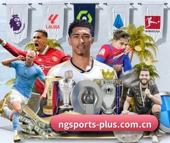ng体育登陆 APP